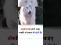 Dosti Sacchi Honi Chahie Pakki To Sadak Bhi Hoti Hai Youtubeshortsvideo Trending Viral Shorts