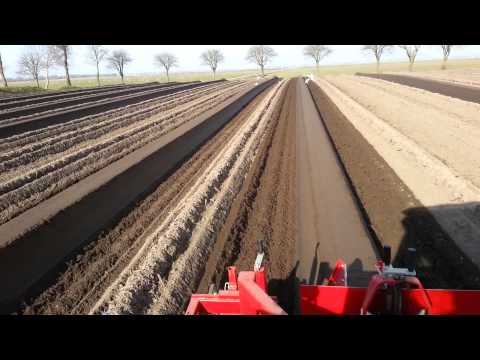 Jak sie robi kopce na szparagi