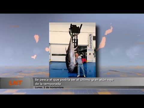 Se pesca el que podría ser el último gran atún rojo de la temporada