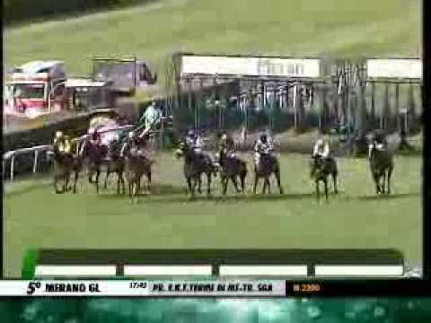 Premio Terme di Merano 2013 (LISTED RACE)