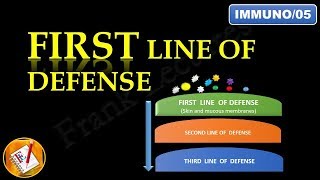 INNATE IMMUNITY - First Line of Defense ((FL-Immuno/05)