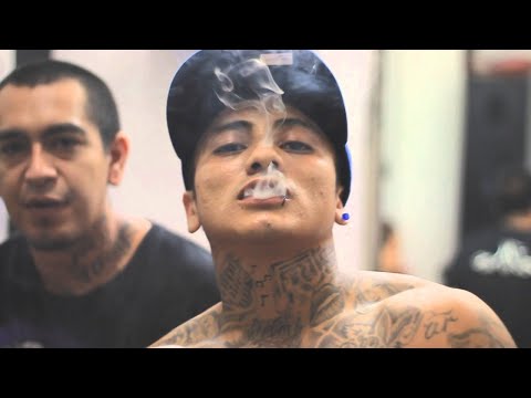 Pinche Mara - El Mara - Ya Cállese el Hocico -  (Video Oficial)