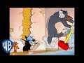 Tom Jerry Trapping Jerry Classic Cartoon WB Kids