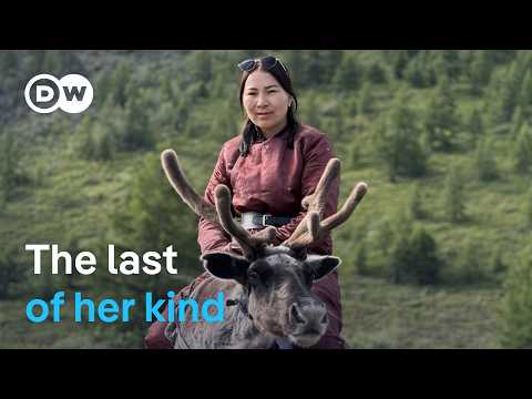 Accompanying A Nomad Doctor In Mongolia | Dw Documentary