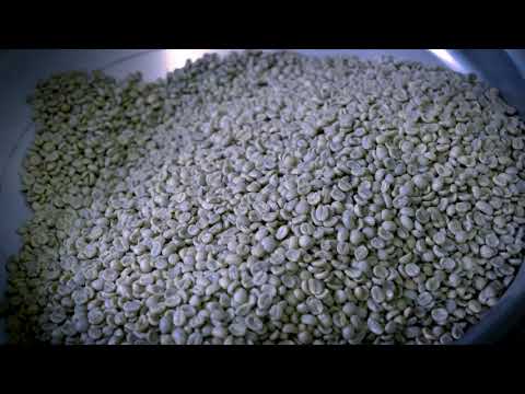 Rökkvi Cold Brew Coffee Liquere - Teaser2