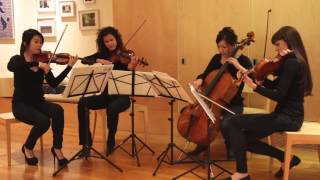 Hallelujah Cover for String Quartet - by Amara Strings