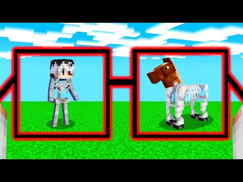 GASIM OCHELARI de HACKER in MINECRAFT! 😎