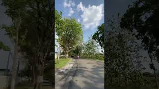 Download lagu Suasana Maospati #jalanjalan #perjalanan #traveling #travel #magetan #pedesaan #magetanbanget #short mp3