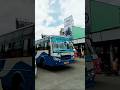 Bus Horn Sound Tnstc Bus Travel Shorts