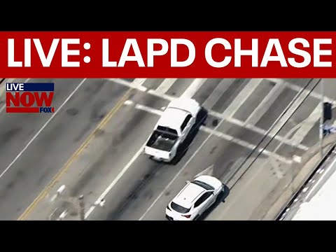 Video | SKYFOX: High-speed police chase in LA, pet dog apprehended