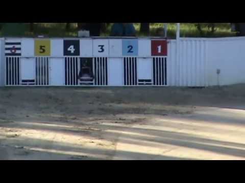 Magyar Derby 2013 "A döntő"