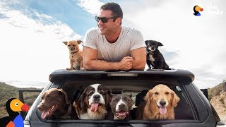 Man and SIX Rescue Dogs Travel The Country In His RV | The Dodo by The Dodo