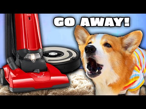Talking Dogs Take on the EVIL Vacuum 😱😱💀