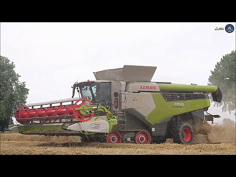 New Claas Lexion 7700 TT + Convio Flex 930 - Gruppo PEA - Wheat harvest 2024