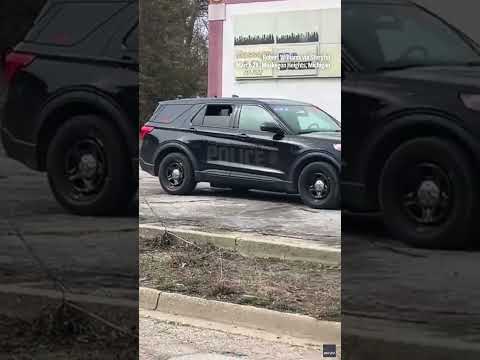 Video Thumbnail: Woman escapes from police car while handcuffed