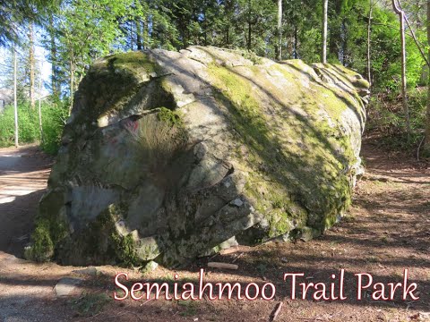 Semiahmoo Trail Park is a peaceful place to interact with wildlife and preserve natural heritage