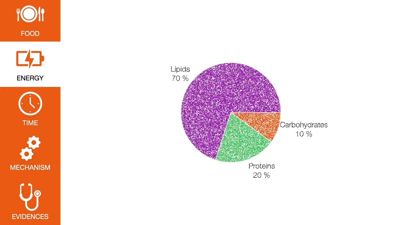 Diets and MS - Paleolithic and ketogenic diets
