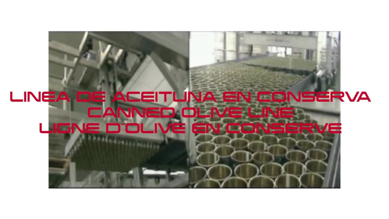 EZMA ACEITUNA ENVASADA