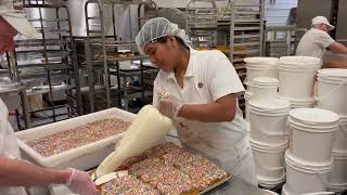 Journey of the Shady Maple Donut