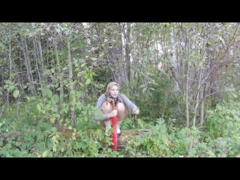 Kalevipoja seiklused