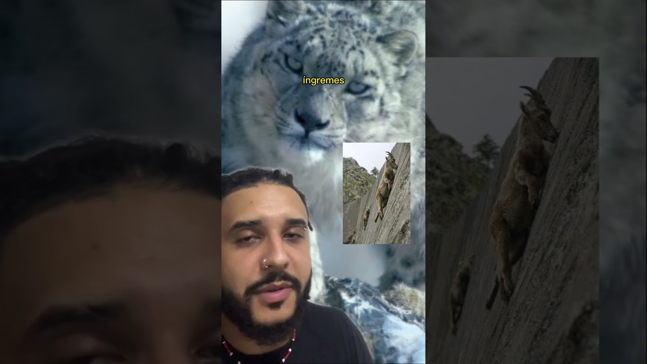 Leopardo cai 200 METROS pra conseguir COMER! | Biomesquita