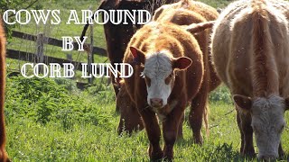 Cows Around by Corb Lund (with scenery)