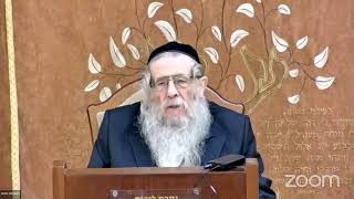 הרה"ג הרב וועכטר שליט"א כ"ו טבת תשפ"ד - ליקוטימ שיחות חלק ו' שיחה י' שבט חלק א (הרב אברהם מנחם מענדל וכטר) - התמונה מוצגת ישירות מתוך אתר האינטרנט יוטיוב. זכויות היוצרים בתמונה שייכות ליוצרה. קישור קרדיט למקור התוכן נמצא בתוך דף הסרטון