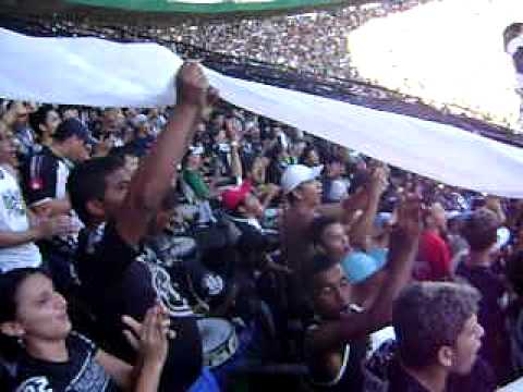 cearamor          ceara entrando em campo