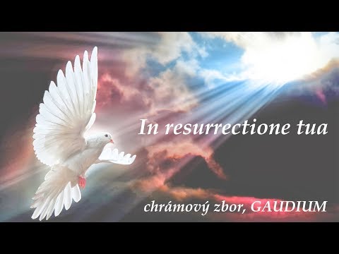 Chrámový zbor GAUDIUM - In resurrectione tua