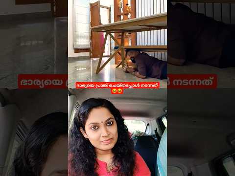ഭാര്യയെ പ്രാങ്ക് ചെയ്തപ്പോ സംഭവിച്ചത് കണ്ടോ 😆😆#trending #shorts #funny #shortvideo #comedy #couple