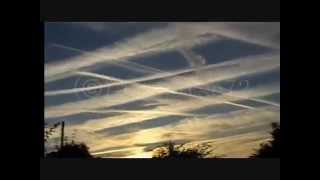 It's A Beautiful Day..So Let The Sun Shine.