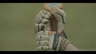 The Phoenix Foundation - Bleaching Sun