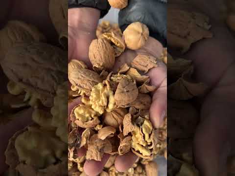 CKK300 Ceviz Kırma Makinesi