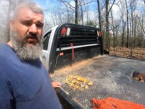 Arkansas Morel forage and cook in the Ozarks.