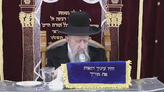 הרב בן ציון מוצפי • בית הכנסת סודאי שידור חי (בית הכנסת מוסאיוף) - התמונה מוצגת ישירות מתוך אתר האינטרנט יוטיוב. זכויות היוצרים בתמונה שייכות ליוצרה. קישור קרדיט למקור התוכן נמצא בתוך דף הסרטון