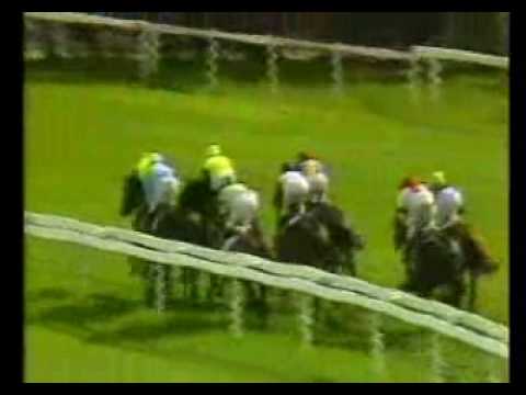 1984 Großer Preis der Badischen Wirtschaft Abary gegen Ordos