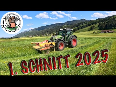 FarmVLOG#335 - 1st Cut 2025