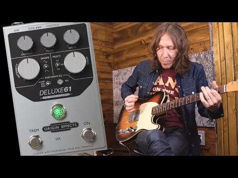 Origin Effects Deluxe61 Amp Tremolo & Drive 2021 - Silver image 7