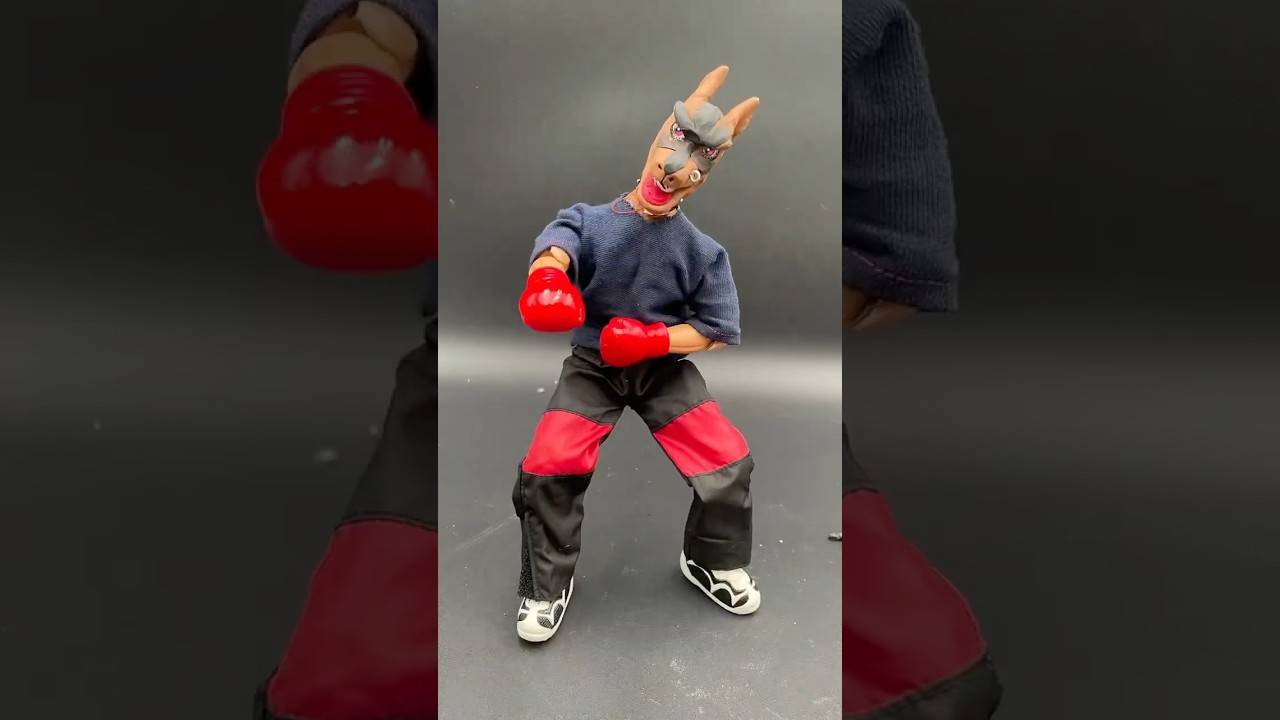 StopmotionAnimation Rap Dog