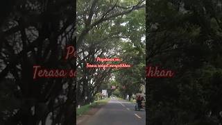 Download lagu berita kepada kawan || ebiet g ade #shortsyoutube #feedshorts #shortsfeed #shortvideo mp3