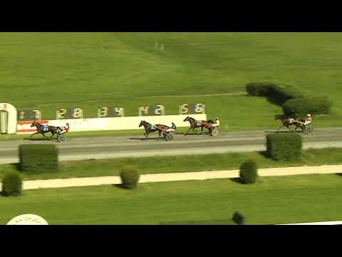 5. dostih - Cena Pražského zpravodaje - klusáci Velká Chuchle 2. 6. 2019