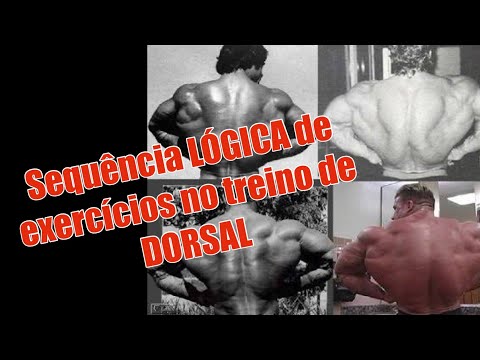 LOGICAL sequence of training exercises for the Back