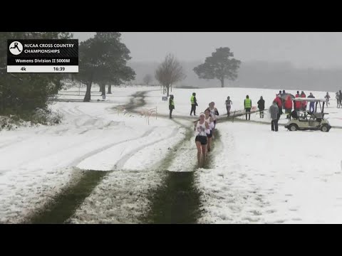 Women's Division II 5k - NJCAA National Cross Country Championships 2025 [Full Race Replay]