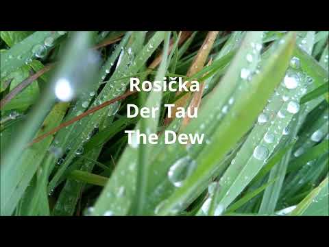 Rosička/The Dew  (Moravian folk song) | Alena Leja - Voice, Maruschka Christiane Hasselmeier - Piano