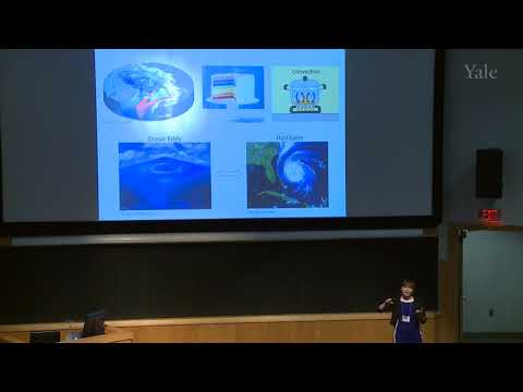 3-Minute Thesis Competition (2017) Finalist Yana Bebieva