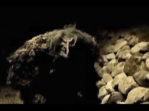 Troll caught on camera - lost and found tape -