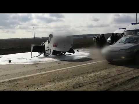 В ДТП в Белгородской области погиб водитель 
