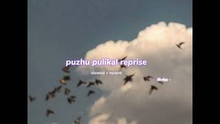 Download lagu puzhu pulikal reprise ( s l o w e d   r e v e r b ) | lilvibe mp3