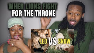 When LIONS Fight for the Throne! American Couple Reacts to Dean Schneider