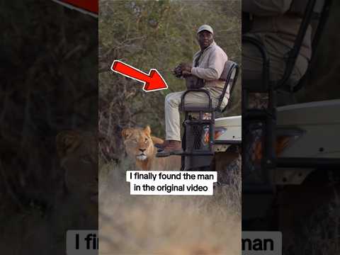 the internet has being looking for this man   #shorts  #lion #wildlife #nature  #viralvideo